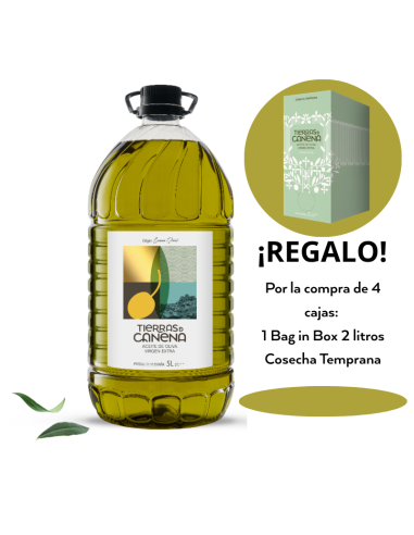 Oferta de Verano