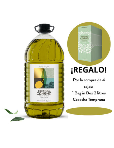 Oferta de Verano