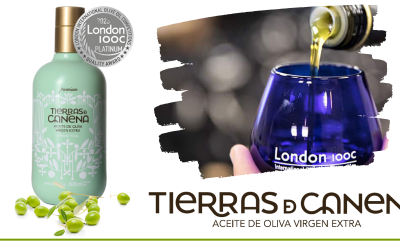 LONDON INTERNATIONAL OLIVE OIL COMPETITION 2023